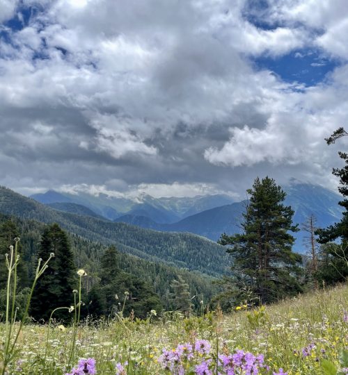 nature_mountains_2