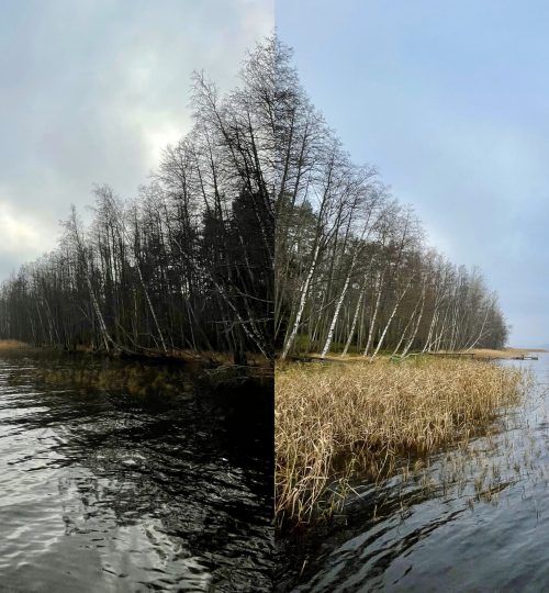 nature_photo_output