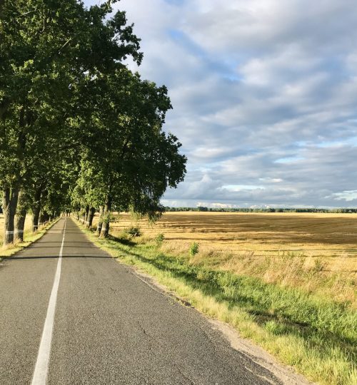 nature_road_1