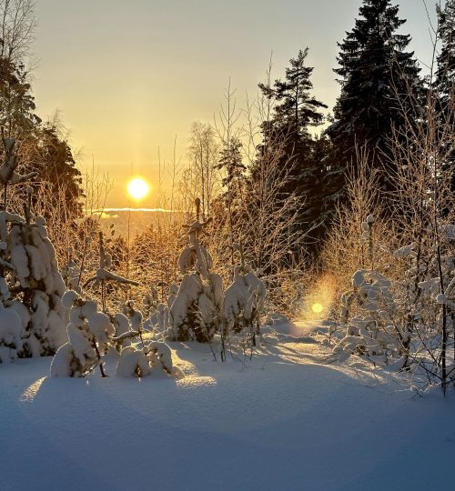 nature_winter_1